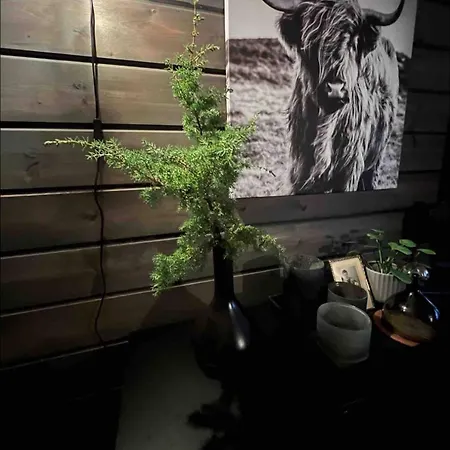 Karnes Prázdninový dům *
